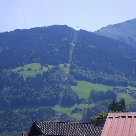 Sauerwein *